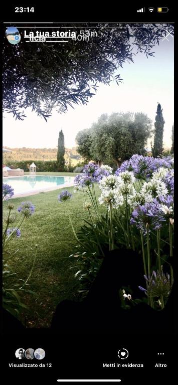 Castel 74 room 1